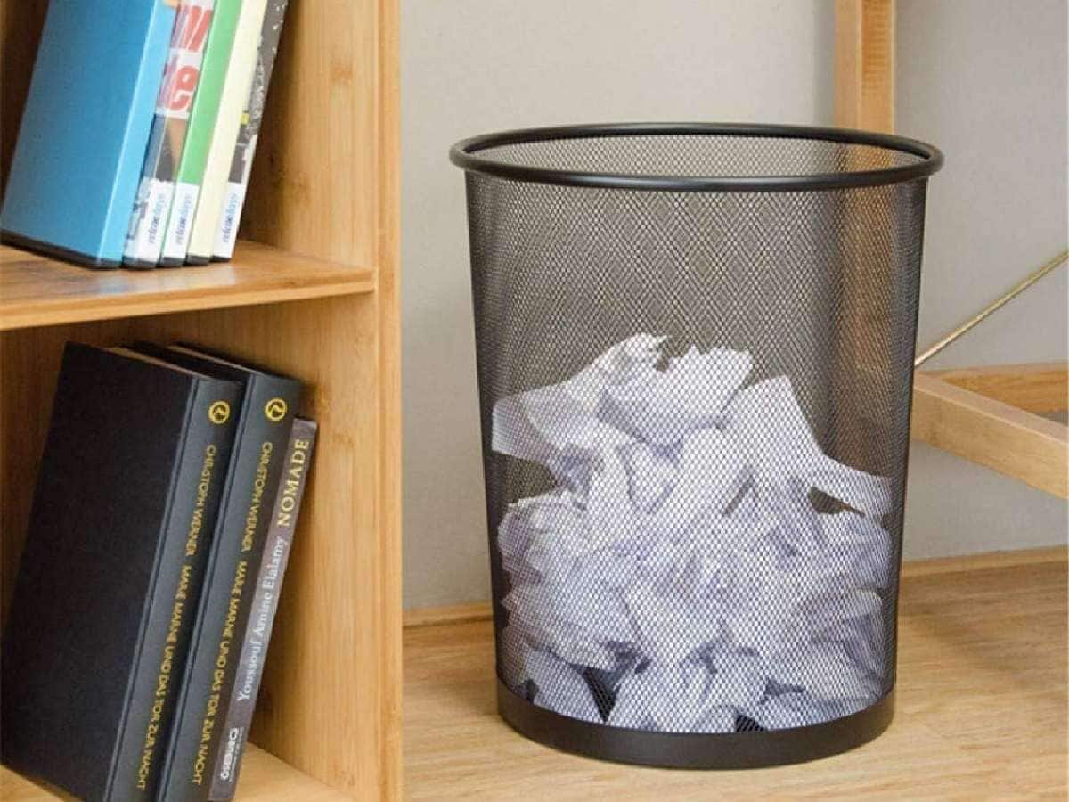 Vastu Tips For Dustbin চরম আর্থিক অনটন, হাতে টাকা থাকছে না? ডাস্টবিন