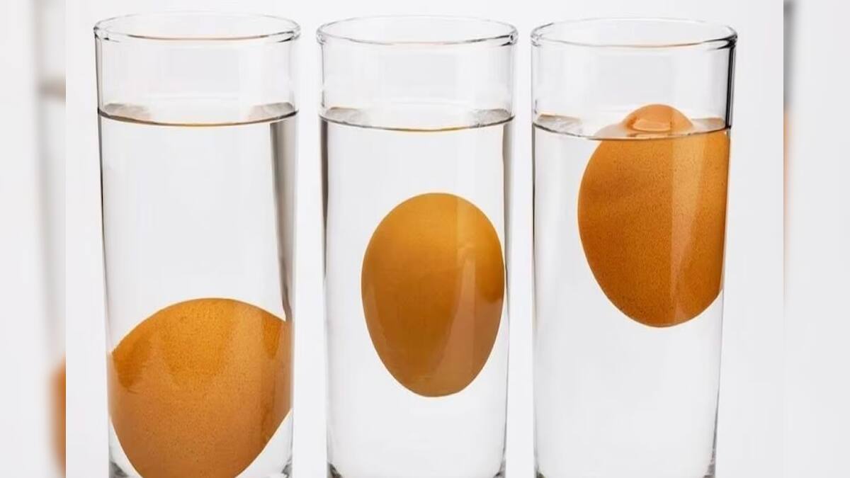 Good Egg Bad Egg১ মিনিটে না ফাটিয়েই চিনে নিন 'পচা ডিম'...! শিখে নিন