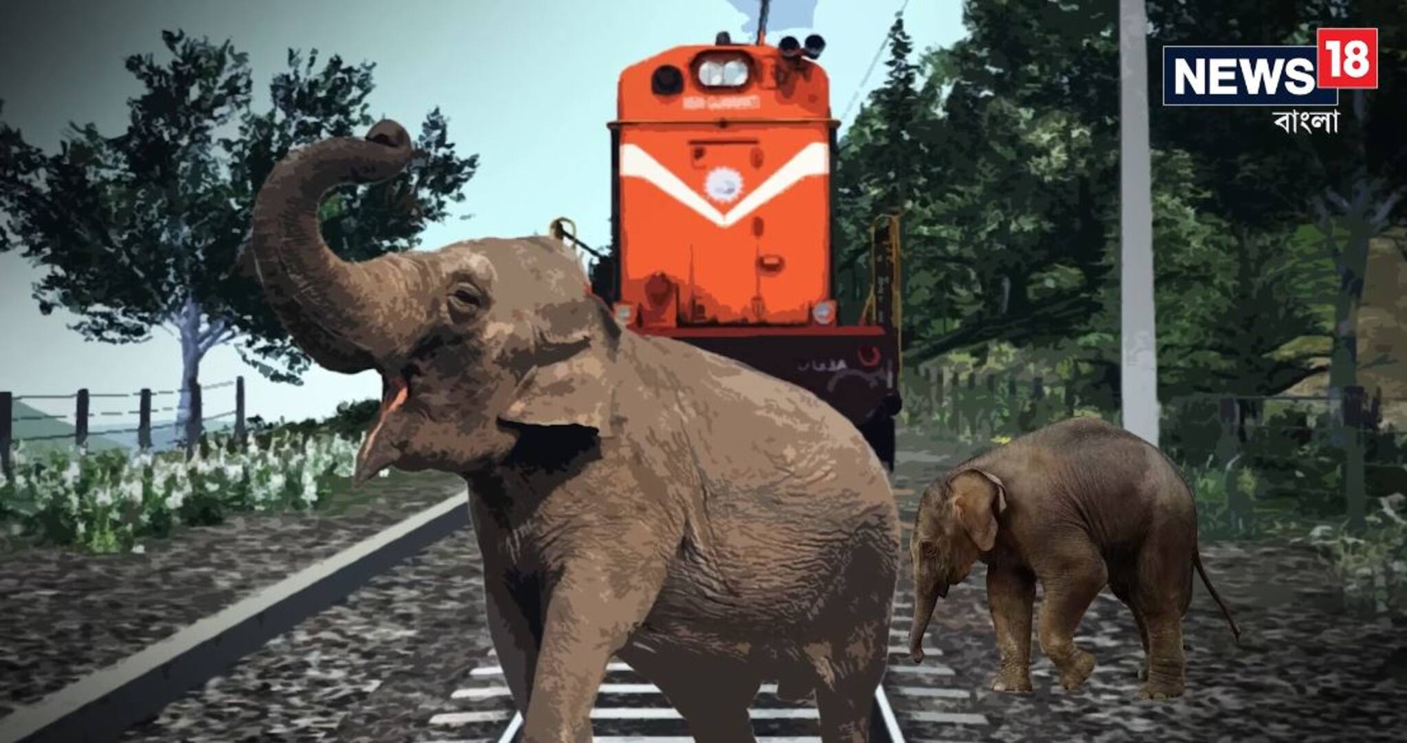 ট্রেনের ধাক্কায় প্রাণ গেল শাবক-সহ ৩ হাতি