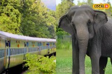 ফের ট্রেনের ধাক্কায় মৃত্যু তিনটি হাতির, ঘটনায় অসুস্থ হয়ে পড়েন চালক!