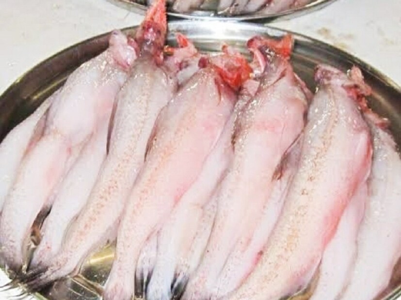 Loitta Fish Benefits: লোটে মাছ ভিটামিন বি ১২ সমৃদ্ধ। লোহিত রক্তকণিকা, স্নায়বিক কার্যকারিতা এবং ডিএনএ সংশ্লেষণের জন্য এটি প্রয়োজনীয়। সুস্থ স্নায়ু কোষ এবং লোহিত রক্তকণিকার পরিমাণ ঠিক রাখা এবং নির্দিষ্ট ধরনের অ্যানিমিয়া প্রতিরোধের জন্য গুরুত্বপূর্ণ।