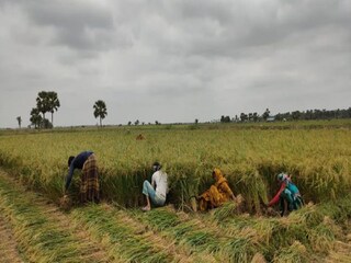 প্রতীকী চিত্র