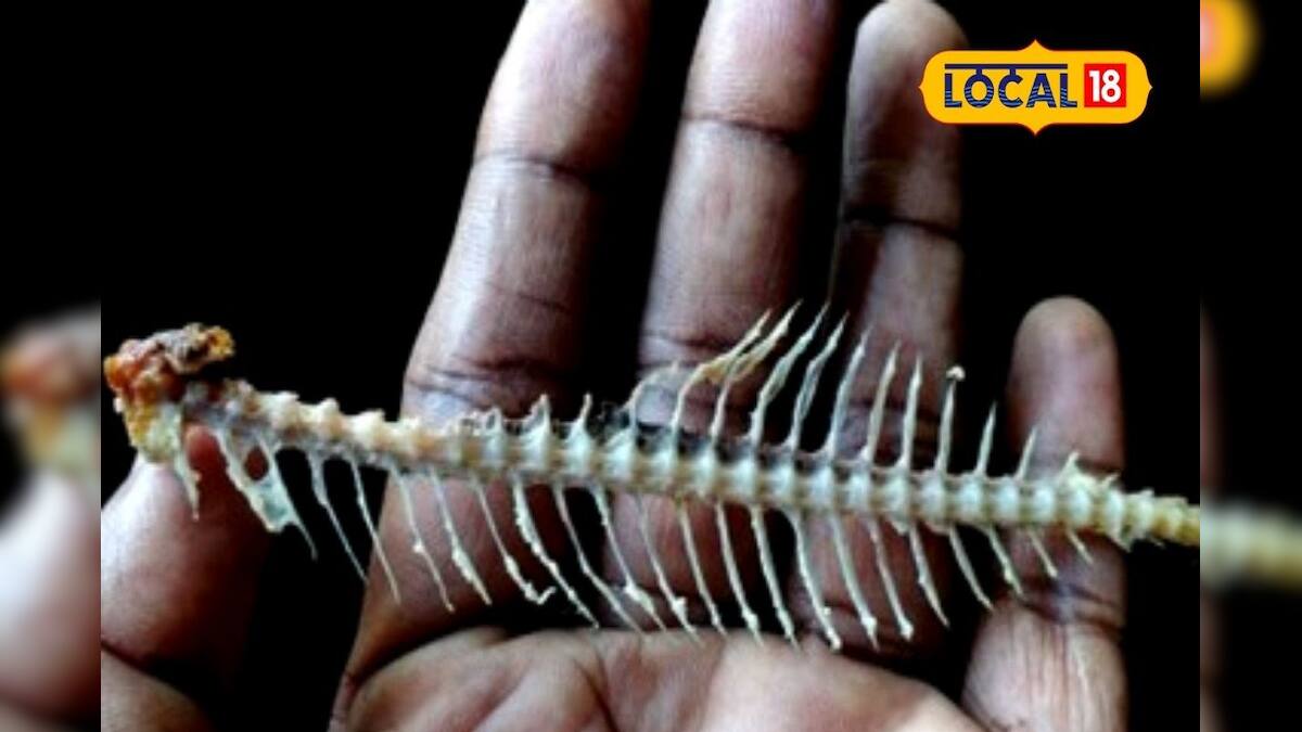 Fish Bone Stuck In Throat: গলায় মাছের কাঁটা আটকালে ভাতের দলা খান ...
