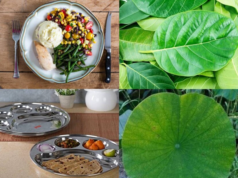 সুস্থ থাকার জন্য শুধুমাত্র স্বাস্থ্যকর খাবার খাওয়াই যথেষ্ট নয়, এর পাশাপাশি আমাদের আরও অনেক দিকেও নজর দিতে হবে। বিশেষ করে আমরা যদি খাবার পরিবেশনের জন্য ব্যবহৃত পাত্রের কথা বলি তাহলেও এমন কিছু উপাদান দিয়ে তৈরি পাত্র রয়েছে যা আমাদের স্বাস্থ্যের জন্য উপকারী। তবে সুস্থ থাকার জন্য রান্নাঘরে রাখা শৌখিন বাসন ছেড়ে আমাদের কিছু বিশেষ ধরনের পাতা ব্যবহার করা উচিত, এটি স্বাস্থ্যের জন্য ভাল।