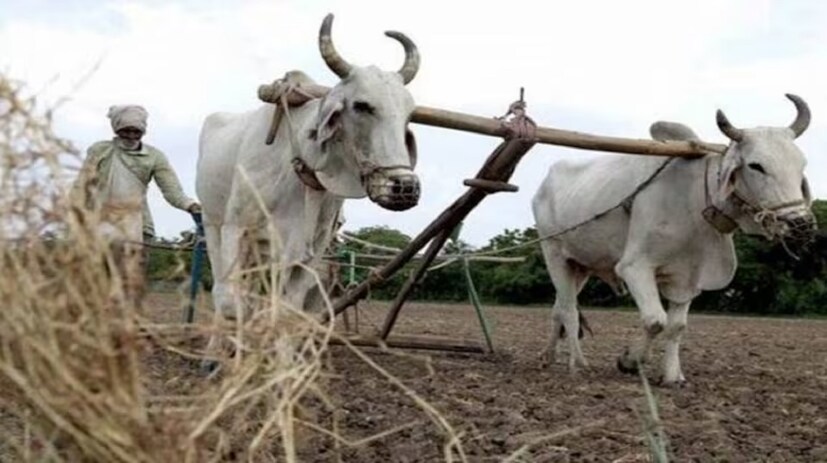 জানা গিয়েছে, ১৫ তম কিস্তির টাকা প্রায় ৮ কোটি কৃষকদের অ্যাকাউন্টে পাঠানো হবে ৷ পিএম কিষান যোজনার ওয়েবসাইটে গিয়ে সুবিধাভোগীদের লিস্ট চেক করতে পারবেন ৷ 