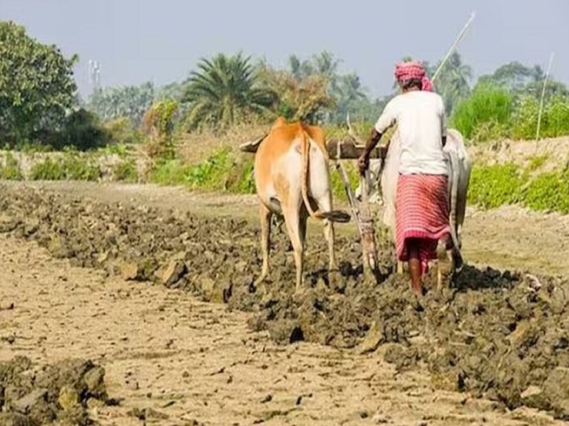 ১. পিএম কিষাণ ওয়েবসাইটে pmkisan.gov.in যেতে হবে।২. হোম পেজের নিচের ডান দিক থেকে ফার্মারস কর্নার বেছে নিতে হবে।

৩. এর তলায় একটি বক্সে ই-কেওয়াইসি লেখা দেখা যাবে। তাতে ক্লিক করতে হবে।

৪. নিজের আধার নম্বর দিয়ে প্রদর্শিত ক্যাপচা কোডও লিখতে হবে। এবার সার্চ বাটনে ক্লিক করতে হবে।

৫. এরপর আধার নম্বরের সঙ্গে লিঙ্ক করার মোবাইল নম্বর দিতে হবে। গেট ওটিপি বাটনে ক্লিক করতে হবে।