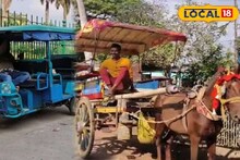 সকলের পচ্ছন্দ কম ভাড়ার টোটো! ইতিহাসের সাক্ষী টাঙ্গা আজ লুপ্তপ্রায় হাজারদুয়ারিতে