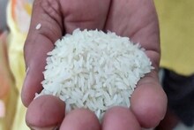 স্বাদ ও সুগন্ধে বিখ্যাত তুলাইপাঞ্জি চাল! বর্তমানে দাম শুনলে মাথায় হাত পড়বে