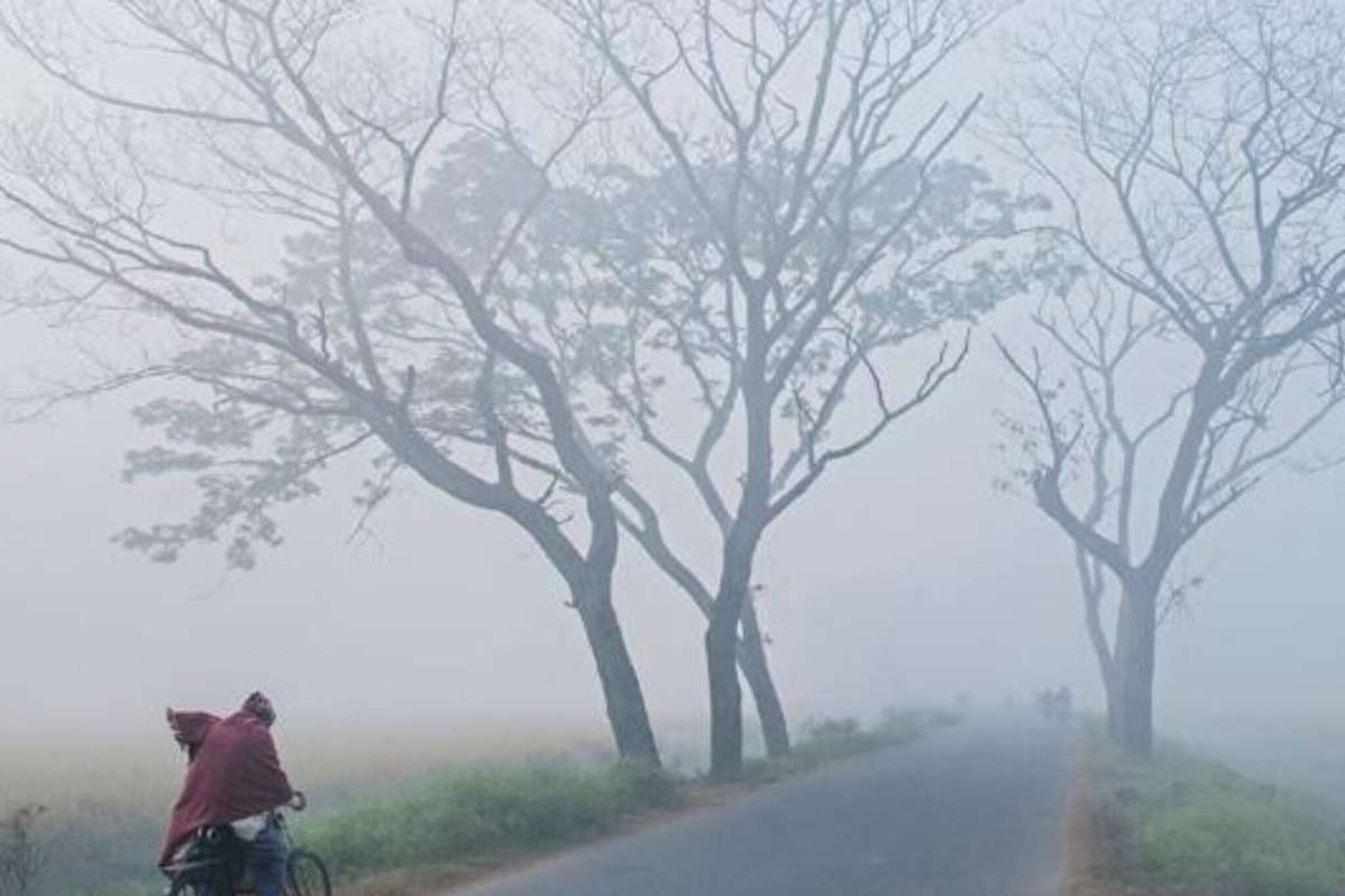 হুহু করে নামছে তাপমাত্রা! বাংলার ৩ জেলায় ১৭ ডিগ্রির নীচে, শীতের দৌড় কেমন রাজ্যে