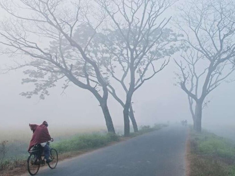 Winter Weather West Bengal: হুহু করে কমছে তাপমাত্রা। শীতের লম্বা স্পেল অব্যাহত বাঁকুড়ায়। তাপমাত্রা ১৬ ডিগ্রির ঘরে। ডিসেম্বর পড়ার আগেই শীতের আমেজ এই জেলায়। (তথ্য- প্রিয়ব্রত গোস্বামী)