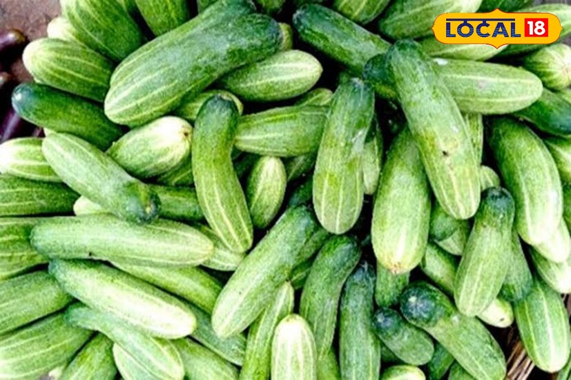 সকালে মর্নিং ওয়াক কিংবা ব্যায়াম করার পরে শসা খান কিংবা ডায়েটে শসার জল বা জুস অন্তর্ভুক্ত করুন। আপনি যদি শসার আরও উপকার পেতে চান, তাহলে প্রতিদিন খালি পেটে এটি খাওয়া শুরু করুন। পরখ করে দেখুন শসার উপকারিতা। বাজারে পাওয়া বিভিন্ন সবজির মধ্যে অন্যতম শসা। দাম কম হলেও পুষ্টিকর এই খাবারের গুণ অগাধ। (তথ্য: রঞ্জন চন্দ)