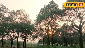 পাখিদের