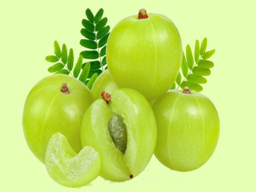 আমলকি হজমশক্তি বাড়ায়। বদহজম, কোষ্ঠকাঠিন্য ও পাইলসের সমস্যাও দূর করে। এক গ্লাস দুধ বা জলে আমলকি গুঁড়ো ও সামান্য চিনি মিশিয়ে দিনে দু'বার খান। এ্যাসিডেটি ধারেকাছে ঘেঁষবে না!
