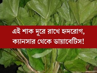 শীতের দিনে পাতে রাখুন এই শাক! দূরে রাখে হৃদরোগ, ক্যানসার থেকে ডায়াবেটিসও!