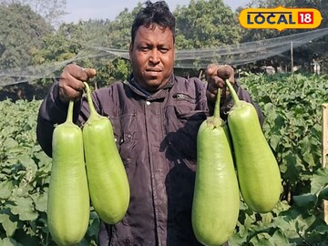 গল্প