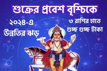 শুক্রের রাশি পরিবর্তনে নতুন বছরে টাকা-সোনার বৃষ্টি!৩ রাশির হাতে গুচ্ছ গুচ্ছ টাকা
