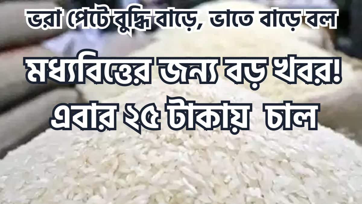 Modi Government, Central Government, Business News, Rice Price, Bharat ...