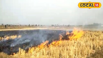 নাড়া পোড়ানোর বেড়েই চলেছে