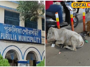 যানজট