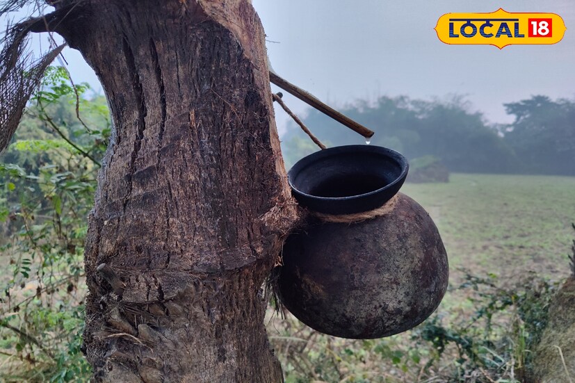 রোজ বিকেলে চুন জল দিয়ে হাঁড়ি ধুয়ে নেওয়া হয়। তারপর খেজুর গাছে সূর্য ডোবার আগে বেঁধে দিয়ে আসা হয় হাঁড়ি। সারারাত ধীরে ধীরে রস জমা হয় হাঁড়ির মধ্যে। 