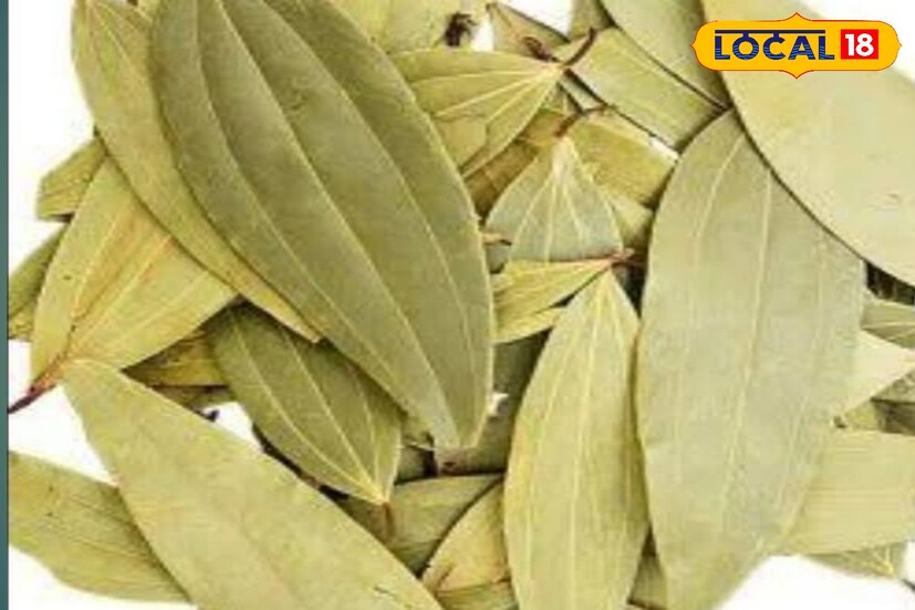 আর তাই এই ধরনের মশার কয়েল বা লিকুইড থেকে একটু ঘরোয়া পদ্ধতিতে চেষ্টা করলেই এক নিমিষে তাড়াতে পারেন মশা। 