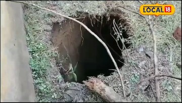 বিদ্যালয়ের