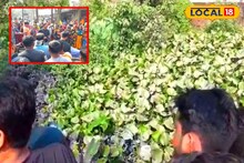 জাতীয় সড়কের পাশে এ কি দেখা গেল! ছুটে আসলেন সবাই