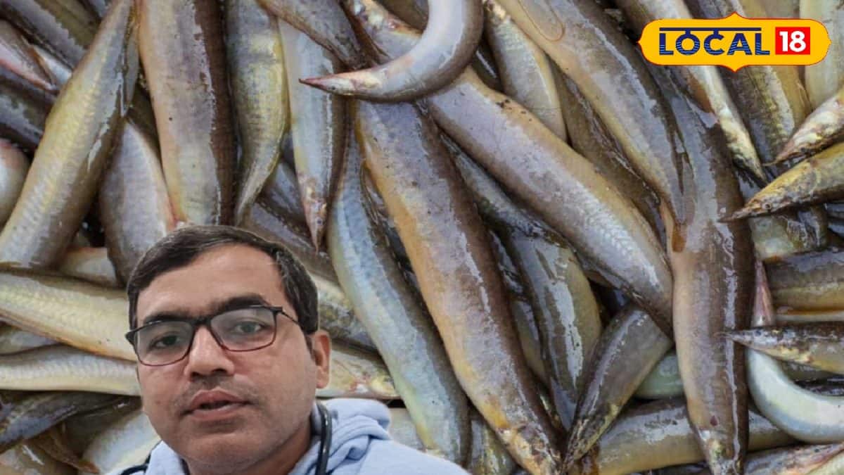 Bam Fish Health Benefit: Bam Fish Health Benefit: পাঁকাল মাছের নাম ...