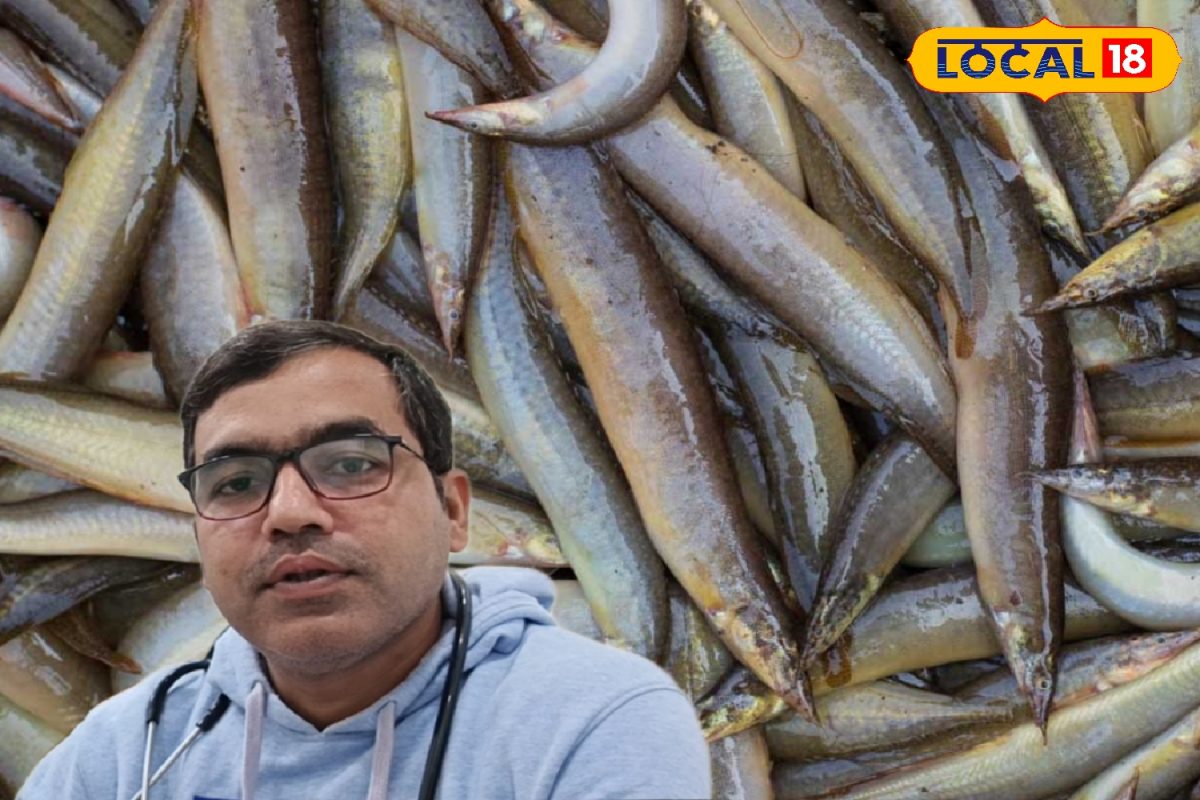 Bam Fish Health Benefit: Bam Fish Health Benefit: পাঁকাল মাছের নাম ...