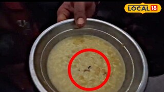 খিচুড়ির বাটিতে পোকা খিচুড়ির বাটিতে পোকা