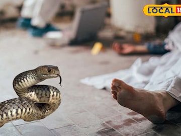 সাপ 