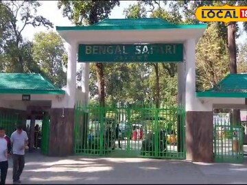 সাফারি