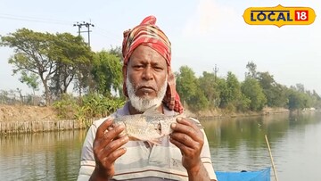 বিদ্যাধরীর