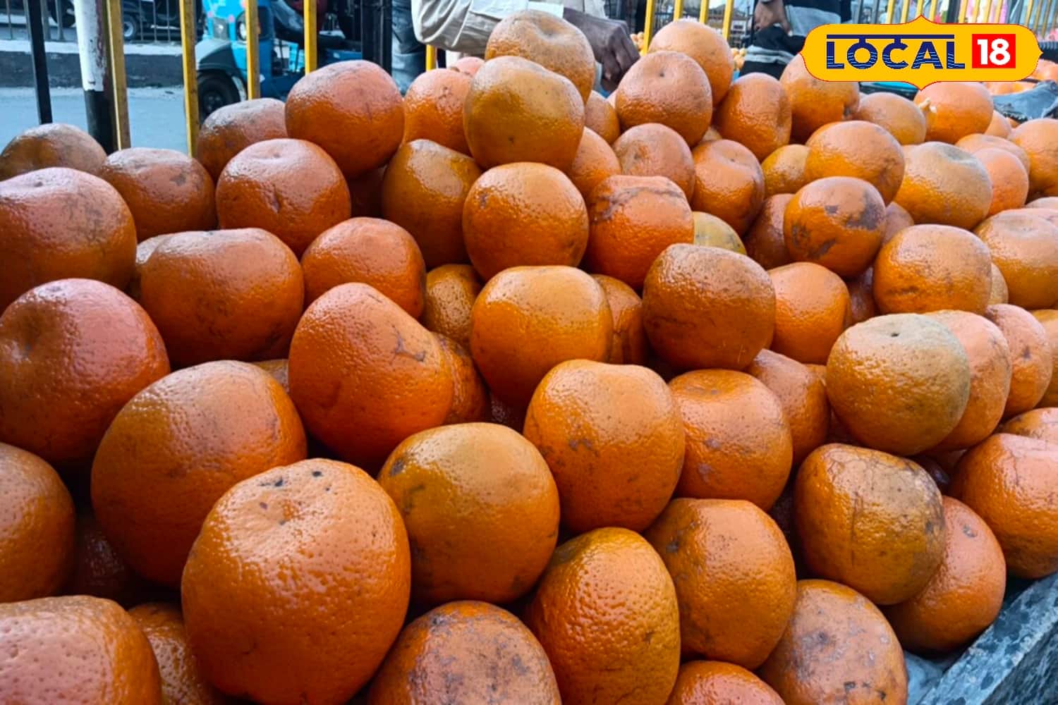 Darjeeling Oranges দার্জিলিংয়ের কমলা ভেবে আসলে কি কিনছেন জানেন