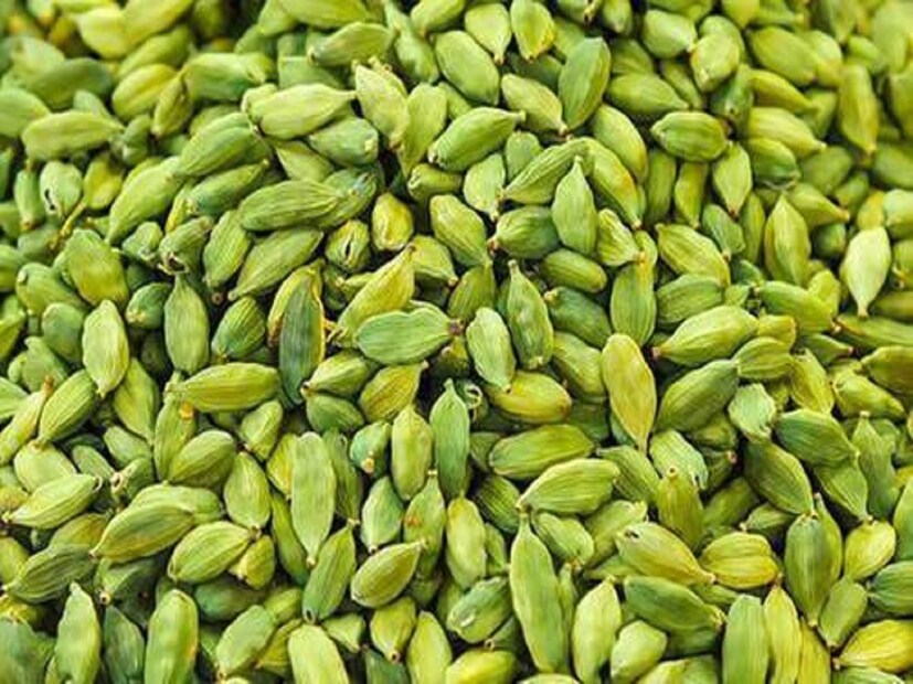 রক্তচাপ নিয়ন্ত্রণ করে হৃদযন্ত্রের স্বাস্থ্য ভাল রাখে৷ কিছু গবেষণায় দাবি, হৃদরোগের আশঙ্কা কমায় এলাচের রস৷ ব্রঙ্কাইটিস, বুকে কফ জমা, সর্দিকাশির সমস্যা দূর করে এলাচ৷ শরীর থেকে বর্জ্যের মাধ্যমে টক্সিন দূর করে এলাচ৷