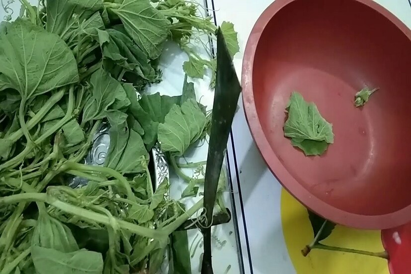 সারাবছরই বাজারে পাওয়া যায় এই লাউ শাক আর ডাঁটা। দামও আহামরি বেশি নয়। আর শাক আর পাতাতেও আছে একাধিক উপকারিতা। লাউ শাকের মধ্যে রয়েছে ফলিক অ্যাসিড, ভিটামিন সি, আয়রন, পটাশিয়াম, ক্যালশিয়াম। এছাড়াও থাকে প্রচুর পরিমাণ ফাইবার। যা শরীর সুস্থ রাখে সেই সঙ্গে রক্তে লোহিত কণিকার পরিমাণও বাড়িয়ে তোলে। 