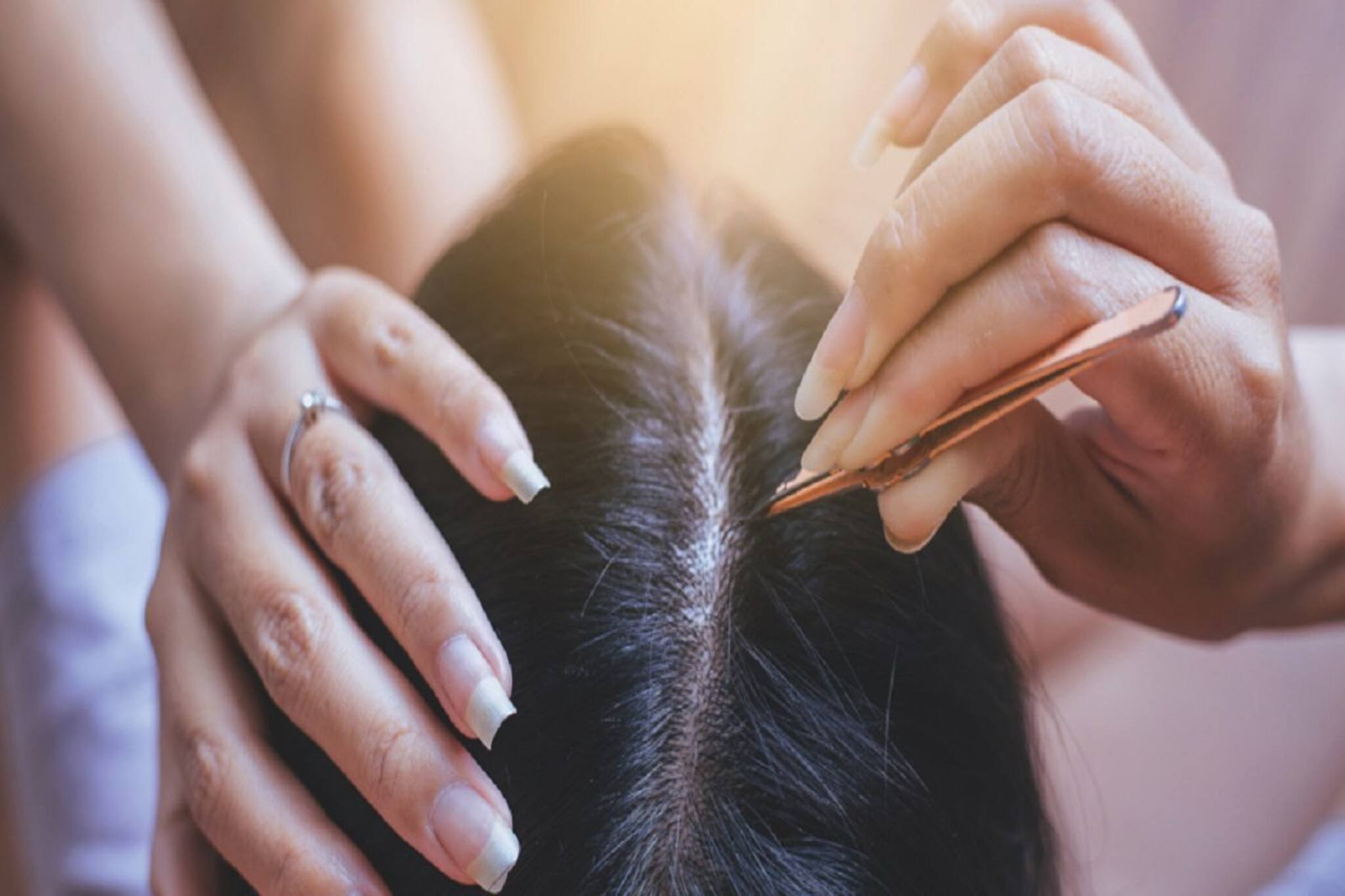 পাকা চুল তুলবেন নাকি রাখবেন? তুললে কি কালো চুলেও পাক ধরবে? জানুন