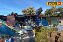 ভয়ানক কাণ্ড! হাতিকে ধাক্কা দ্রুতগতির ট্রাকের! তারপর বেসামাল গাড়ির সঙ্গে যা হল..