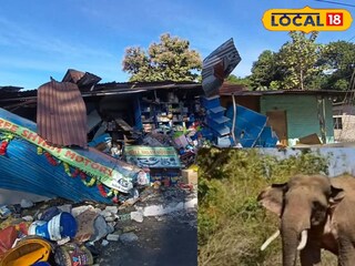 ভয়ানক কাণ্ড! হাতিকে ধাক্কা দ্রুতগতির ট্রাকের! তারপর বেসামাল গাড়ির সঙ্গে যা হল..