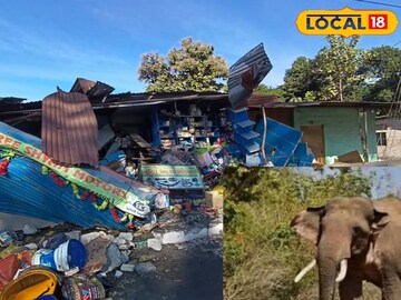 ভয়ানক কাণ্ড! হাতিকে ধাক্কা দ্রুতগতির ট্রাকের! তারপর বেসামাল গাড়ির সঙ্গে যা হল..