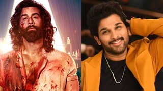 ‘দেশের সিনেমার ভবিষ‍্যৎ...’ ‘অ‍্যানিম‍্যাল’ নিয়ে বিতর্কের মাঝে ভূয়সী প্রশংসা ‘পুষ্পা’ তারকার