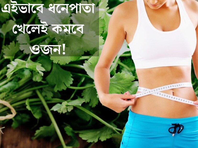 শীতকাল এলেই যে একটি পাতা রান্নাঘরে সকলের আগে জায়গা করে নেয়, তার নাম ধনে পাতা। এমনিতে সারাবছর কমবেশি খাওয়া হলেও শীতকালে অনেকখানি বেড়ে যায় কদর। কারণ এই সময় বাজারে অঢেল পাওয়া যায় টাটকা সবুজ ধনেপাতা। কিন্তু ধনেপাতার গুণ কি শুধু রান্নায় স্বাদ বাড়নোতেই সীমাবদ্ধ? বিশেষজ্ঞরা জানাচ্ছেন ধনেপাতা সঠিক ভাবে খেলে বাড়তি ওজন বিদায় নেবে। 