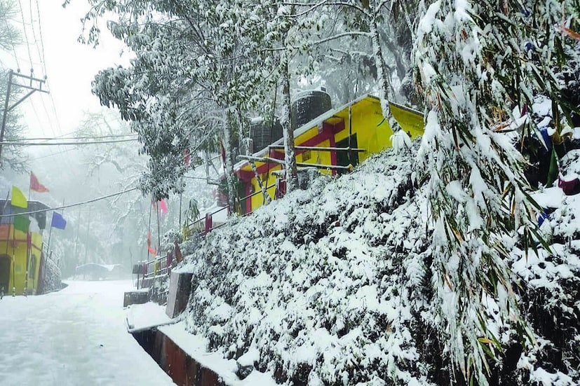 *জম্মু-কাশ্মীর, লাদাখ, হিমাচল প্রদেশ-সহ পার্বত্য এলাকায় ব্যাপক তুষারপাতের সম্ভাবনা। পশ্চিমী ঝঞ্ঝার প্রভাবে বৃষ্টি হবে পঞ্জাব, হরিয়ানা ও উত্তরাখণ্ডের বেশ কিছু এলাকায়। ফাইল ছবি।  