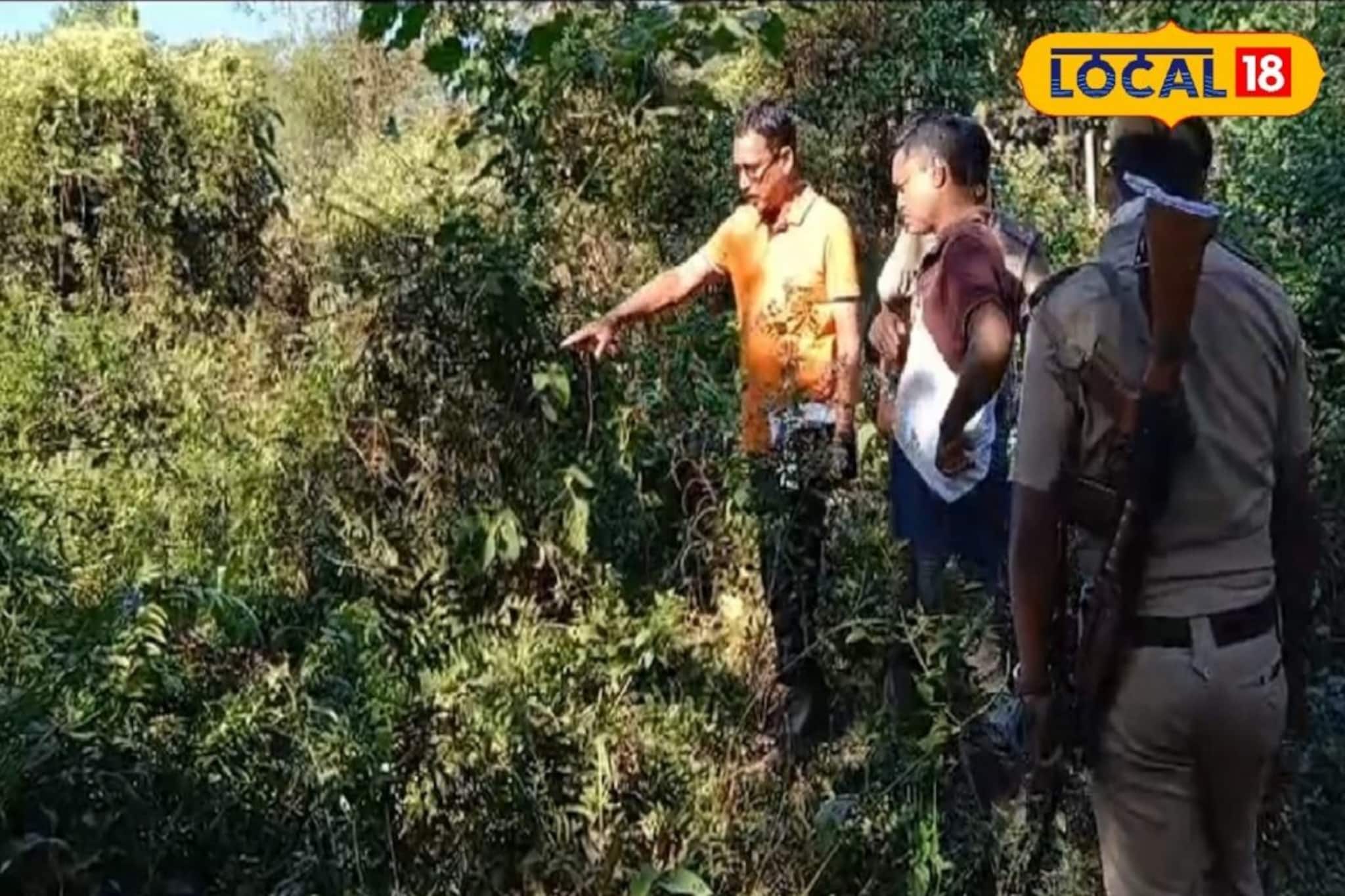 জঙ্গলের ধারে ওটা কী! ভনভন করছে মাছি-পচা গন্ধ, ছিঁড়ে খেয়েছে লেপার্ড?