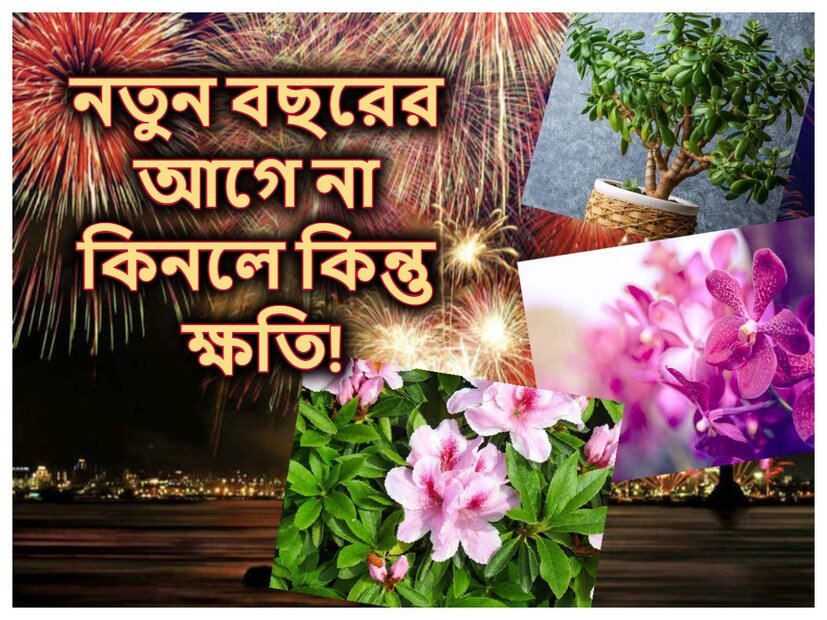 (Disclaimer: এই প্রতিবেদনে থাকা তথ্যের সত্যতা নিউজ ১৮ নিশ্চিত করে না৷ প্রয়োজনে বিশেষজ্ঞের পরামর্শ নিন৷) 