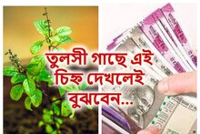 সংসারে টাকা আসছে...বলে দেয় তুলসী গাছের ‘এই’ লক্ষণ! দেখুন কী বলছেন জ্যোতিষী