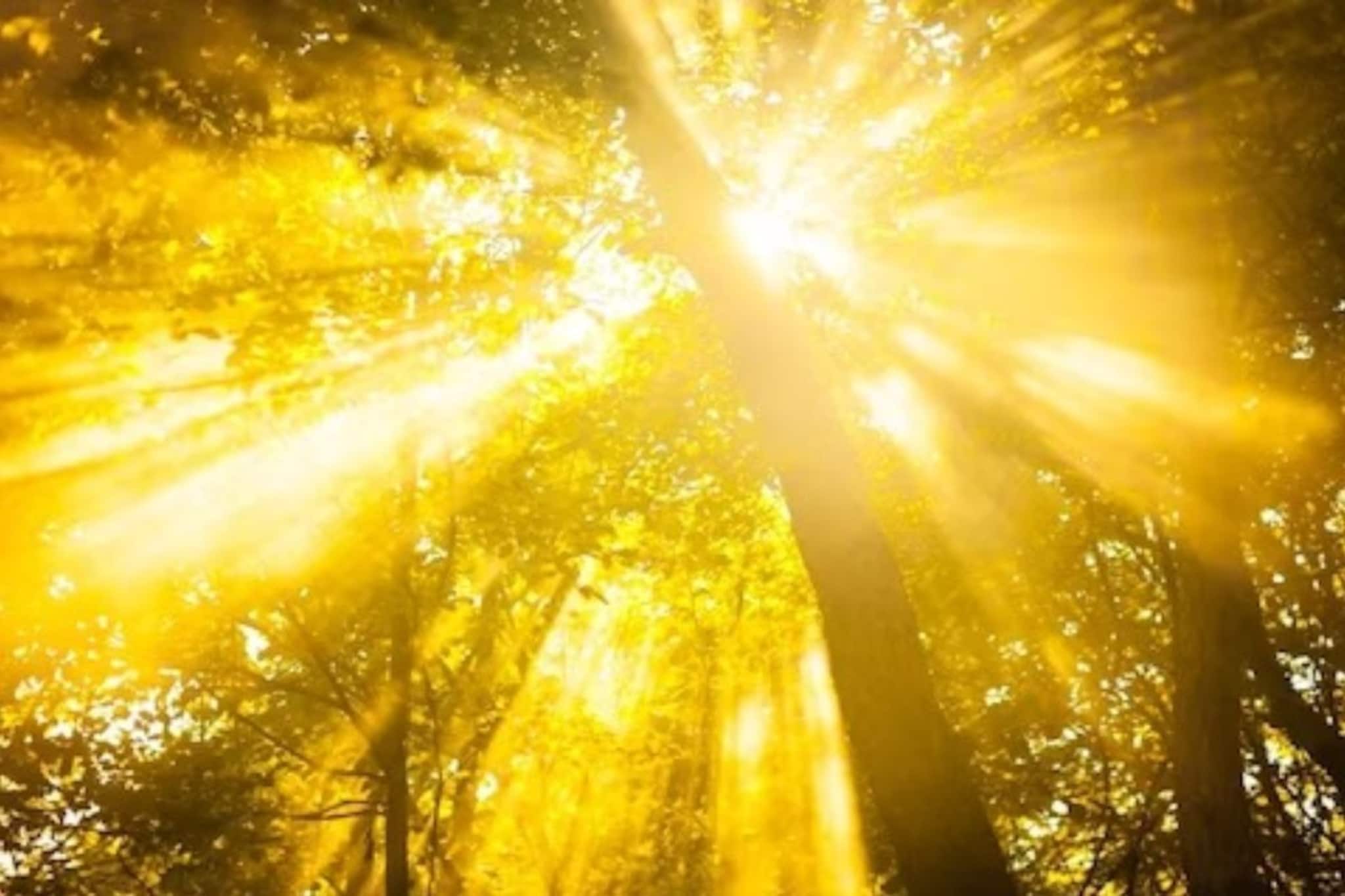 মিশে আছে সাত রং, তাও সূর্যের আলো সাদা বা হলুদ দেখায় কেন? জানলে চমকে যাবেন