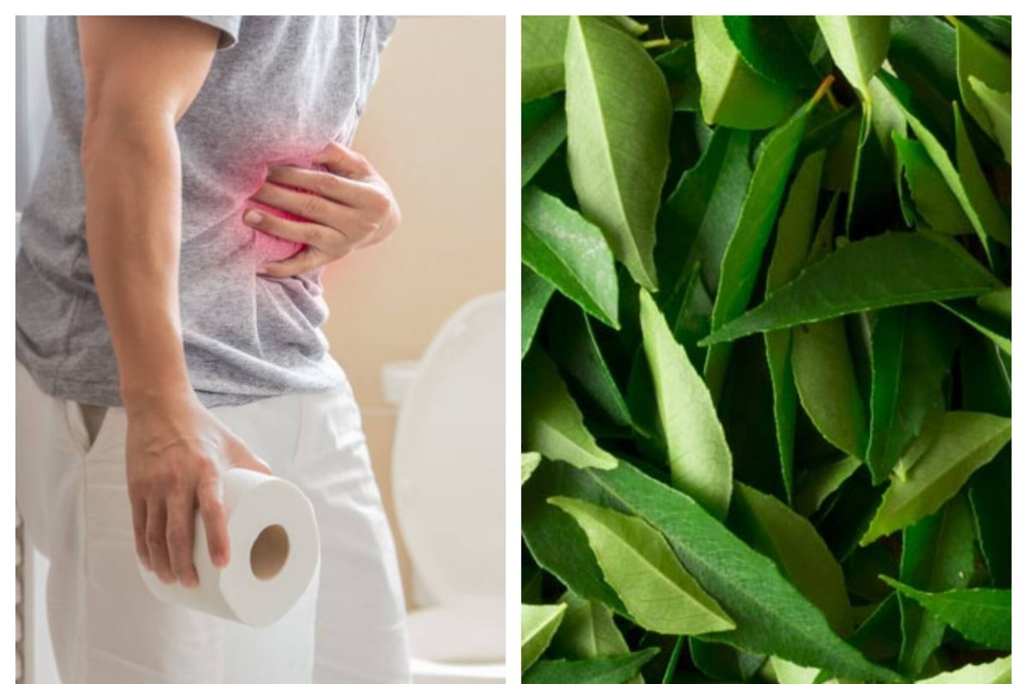 শীতে কোষ্ঠকাঠিন্যে কষ্ট পাচ্ছেন! একবার খেয়ে দেখুন এই পাতা, কাজ হবে ম্যাজিকের মত