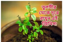 খরমাসে তুলসীর থেকে দূরে রাখুন এই জিনিস...একটা ভুলেই জলের মতো বেরিয়ে যাবে টাকা!