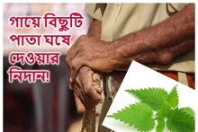 ‘পুলিশের গায়ে ‘বিছুটি পাতা’ ঘষে দিন!,’ তৃণমূল নেতার বেপরোয়া নিদান, তুমুল শোরগোল